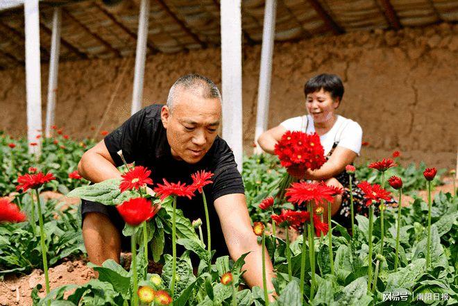 推行“四化”融合，赋能花卉产业高质量发展